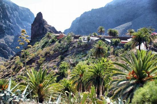 Marody Tenerife House 엘메다노 외부 사진